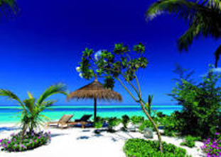 【名古屋市結婚式場ビアンカーラテラス】モルディブの透明度溢れるエメラルドグリーンの海と、眩しい白い砂浜にヤシの木が映える極上の南国リゾートの風景。名古屋市にある市の喧騒を離れた憧れのハネムーン先として、非日常的で贅沢な開放感に包まれる最高にフォトジェニックなひとときを象徴するイメージ写真です。